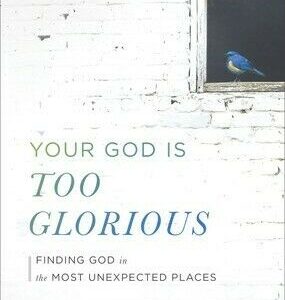 Your God is Too Glorious by Chad Bird